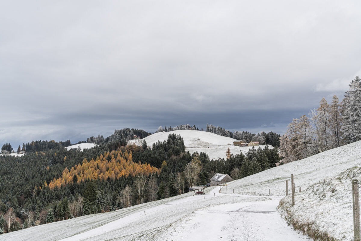 Rehetobel Heiden Wandern