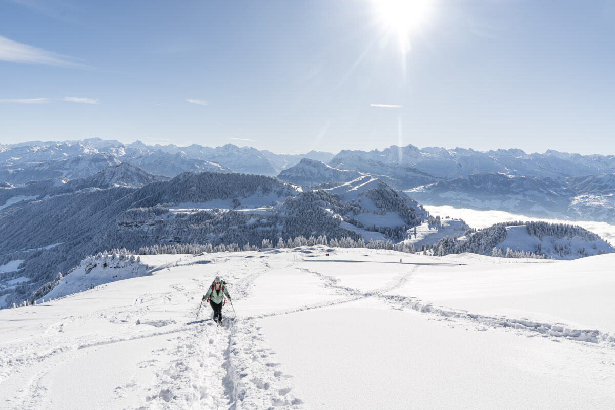 Aufstieg Rigi Kulm mit den Schneeschuhen