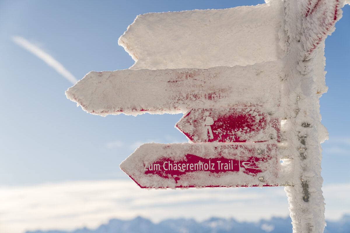 Chäserenholz-Trail Rigi Signalisation