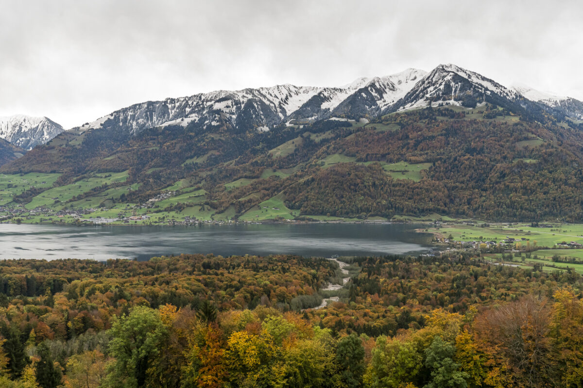 Aussicht von Diepigen