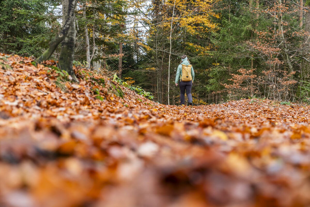 Wandern auf dem Alpenpanoramaweg im Herbst