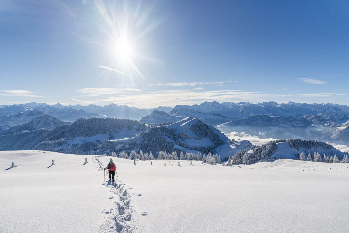 Schneeschuhwandern auf der Rigi