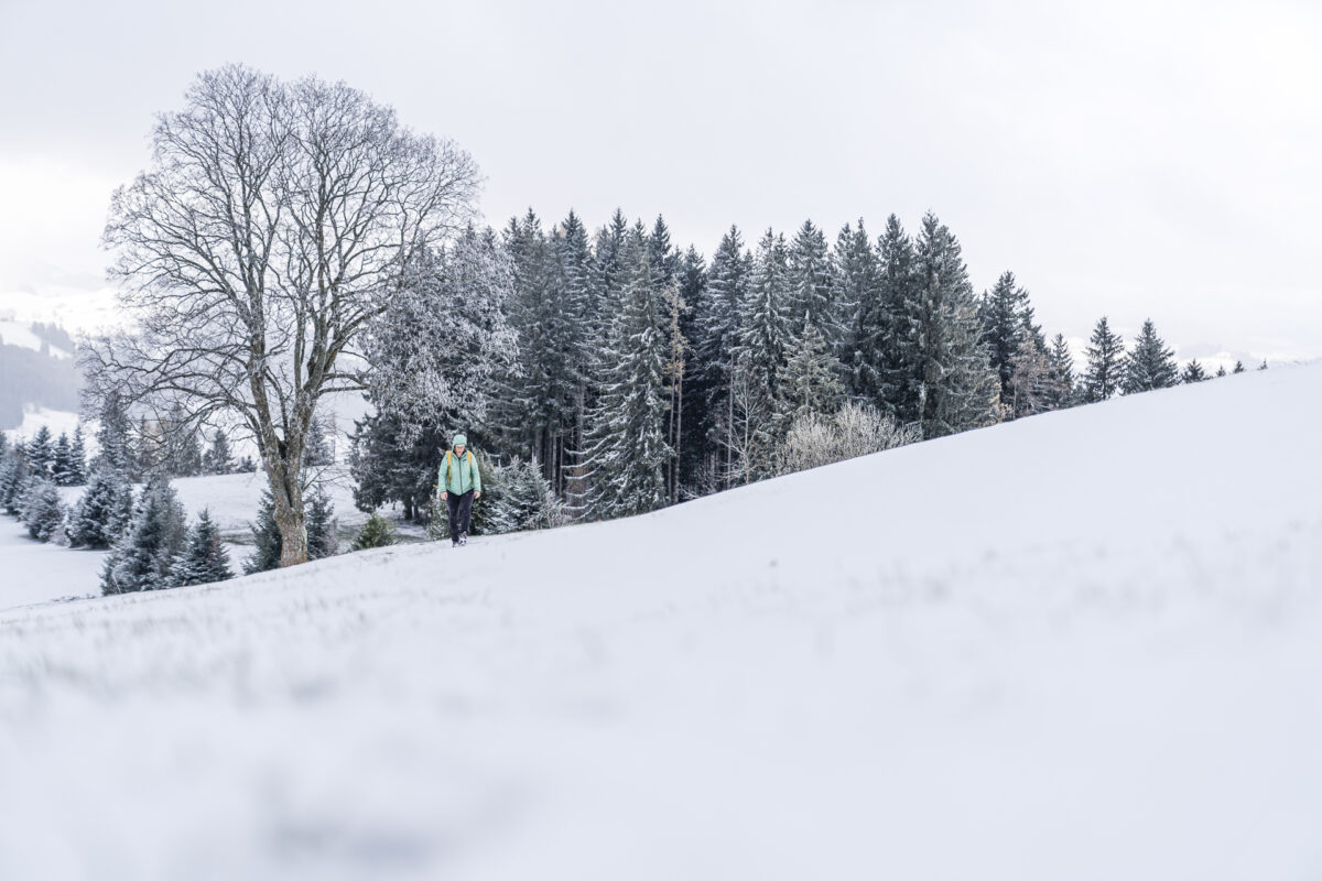 Alpenpanoramaweg Bühler-Rehetobel