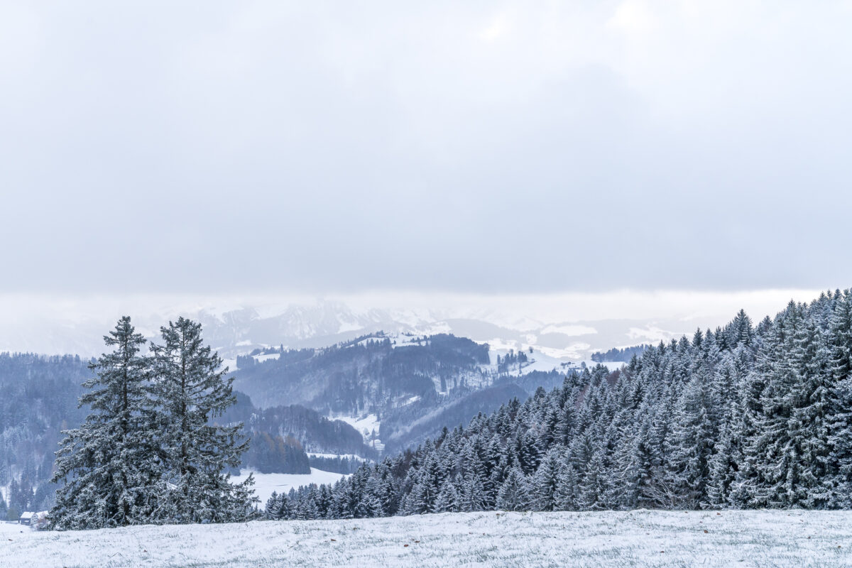 Appenzell Wandern auf dem Alpenpanoramaweg