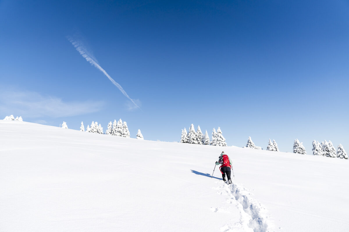 Chäserenholz-Schneeschuhtrail Rigi