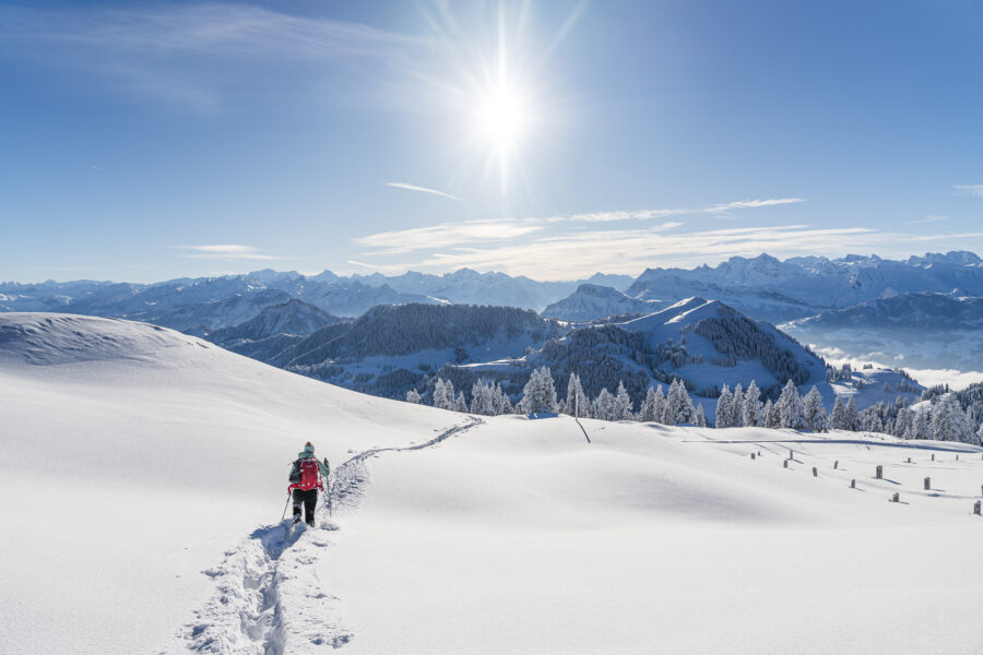 Schneeschuhwandern auf der Rigi