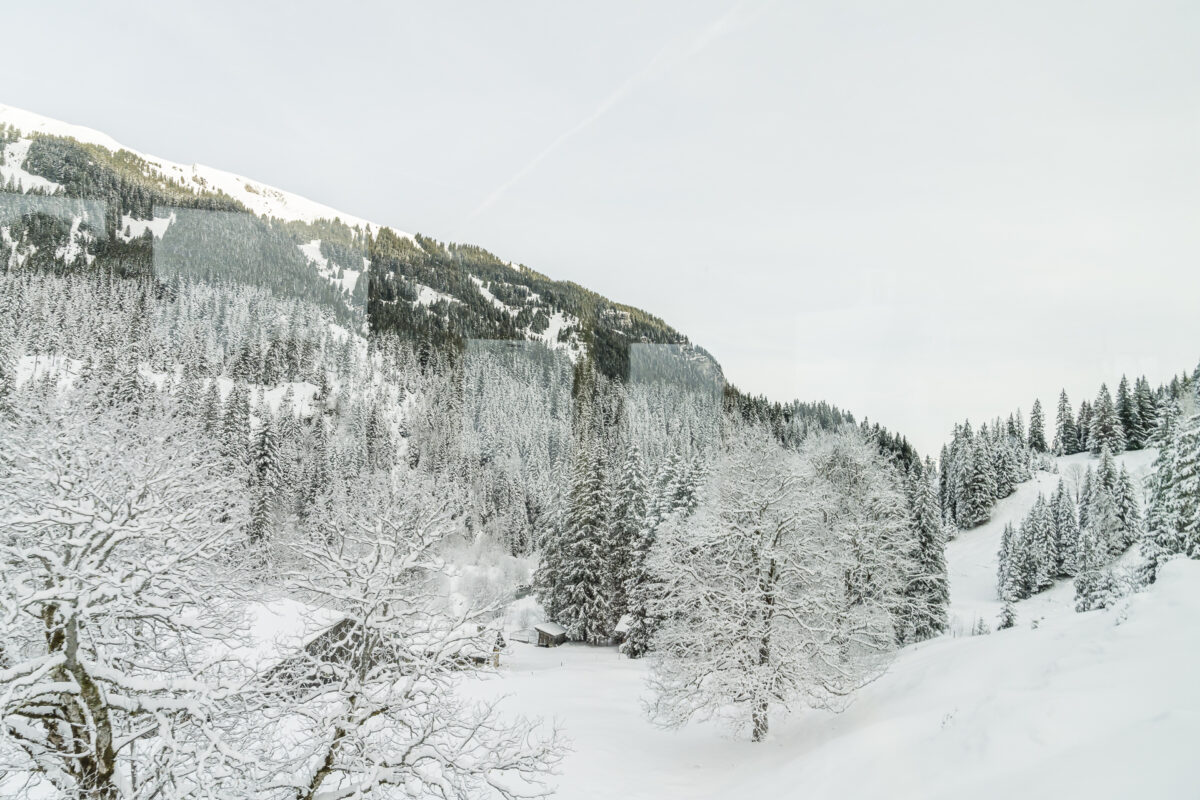 Postautofahrt auf die Schwarzwaldalp im winter