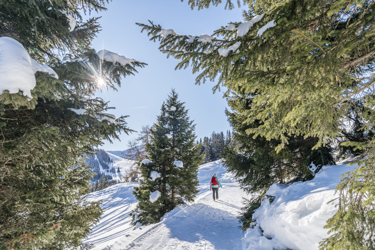 Winterwandern in Serfaus-Fiss-Ladis