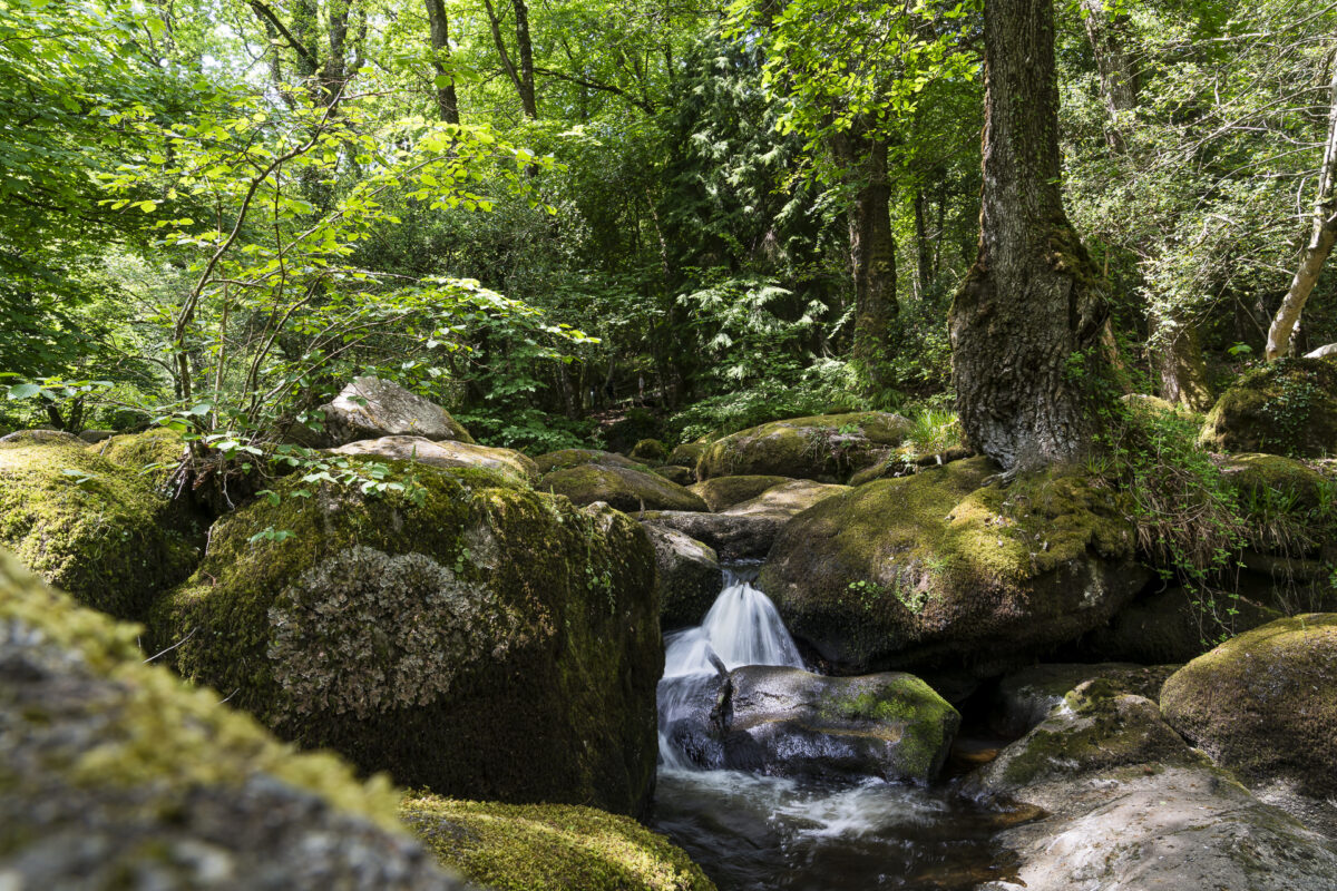 Becky Falls Dartmoor Nationalpark