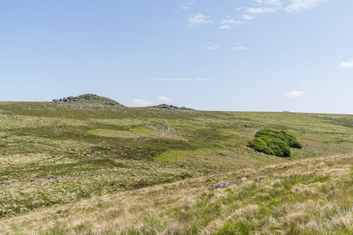 Wistman's Wood Hike