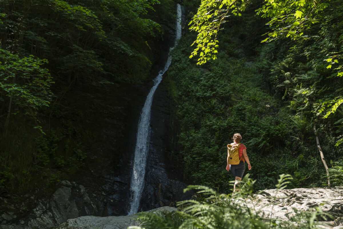 Lydford Gorge Dartmoor Nationapark