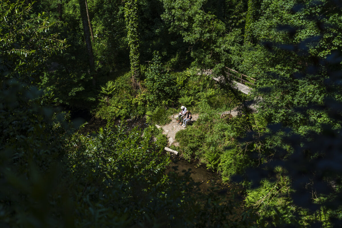 Lydford Gorge Hike