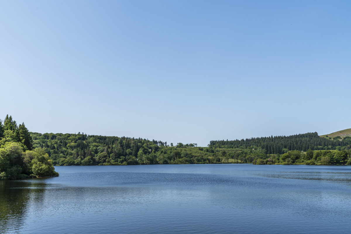 Burrator Reservoir Walk