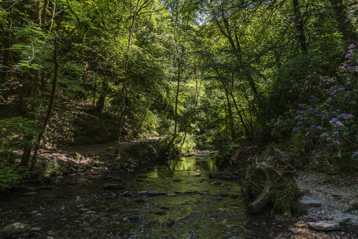 Lydford Gorge