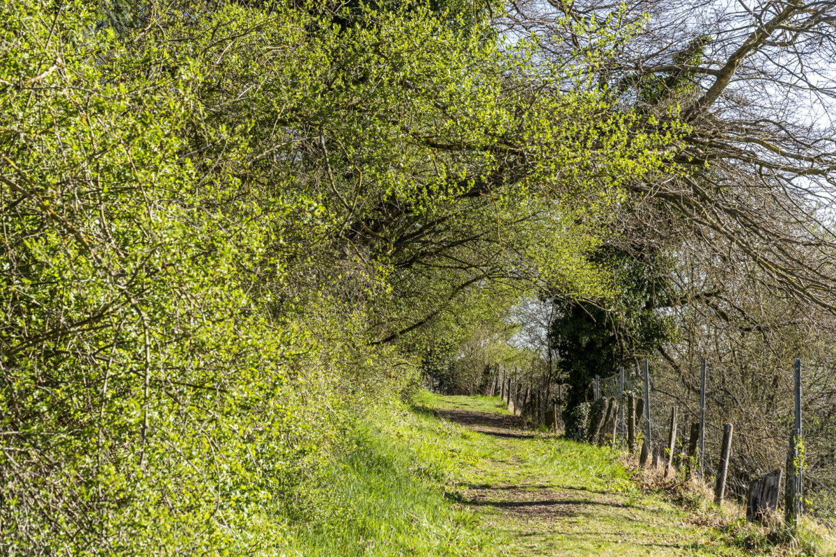 Lucens Sentier Aventures