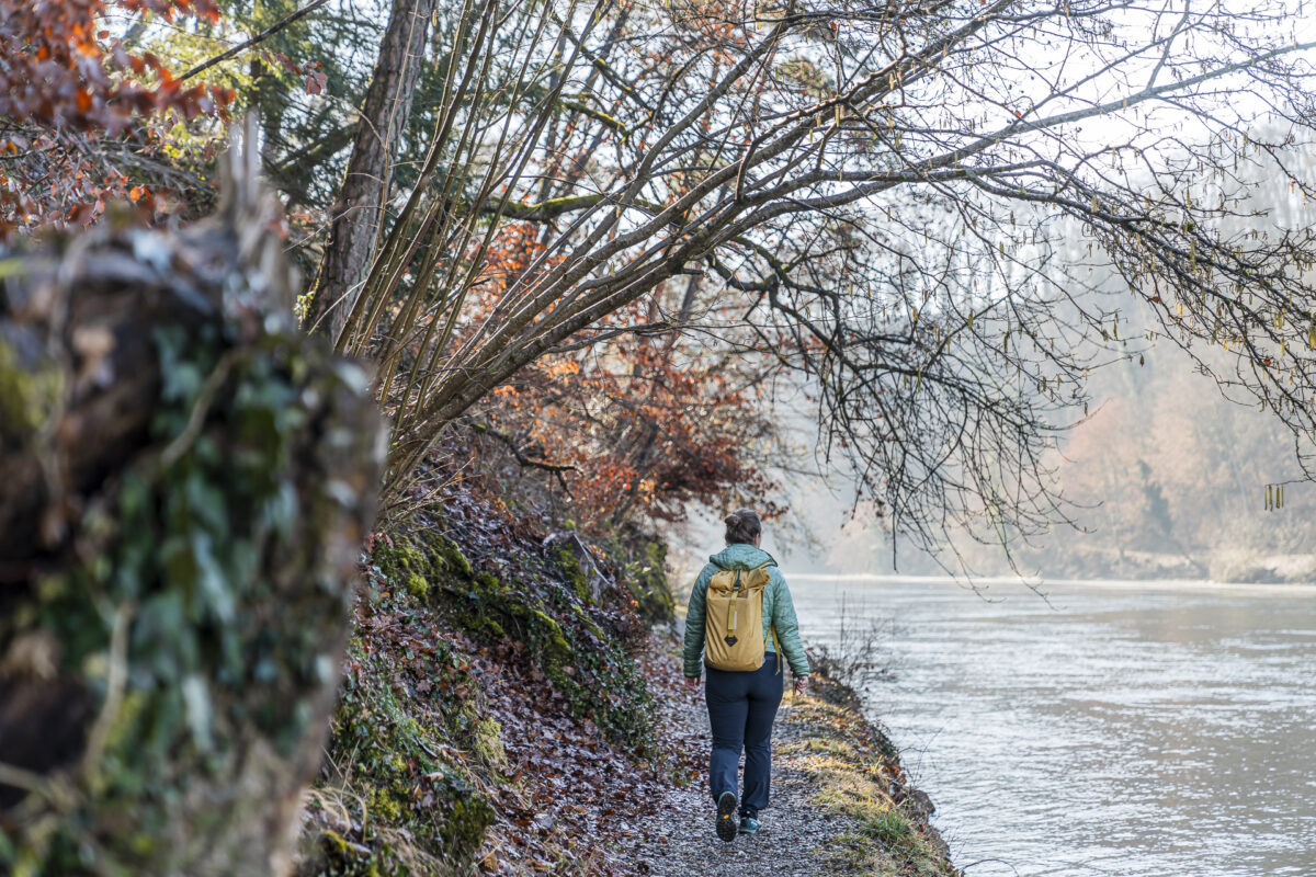 Rhein Wanderung