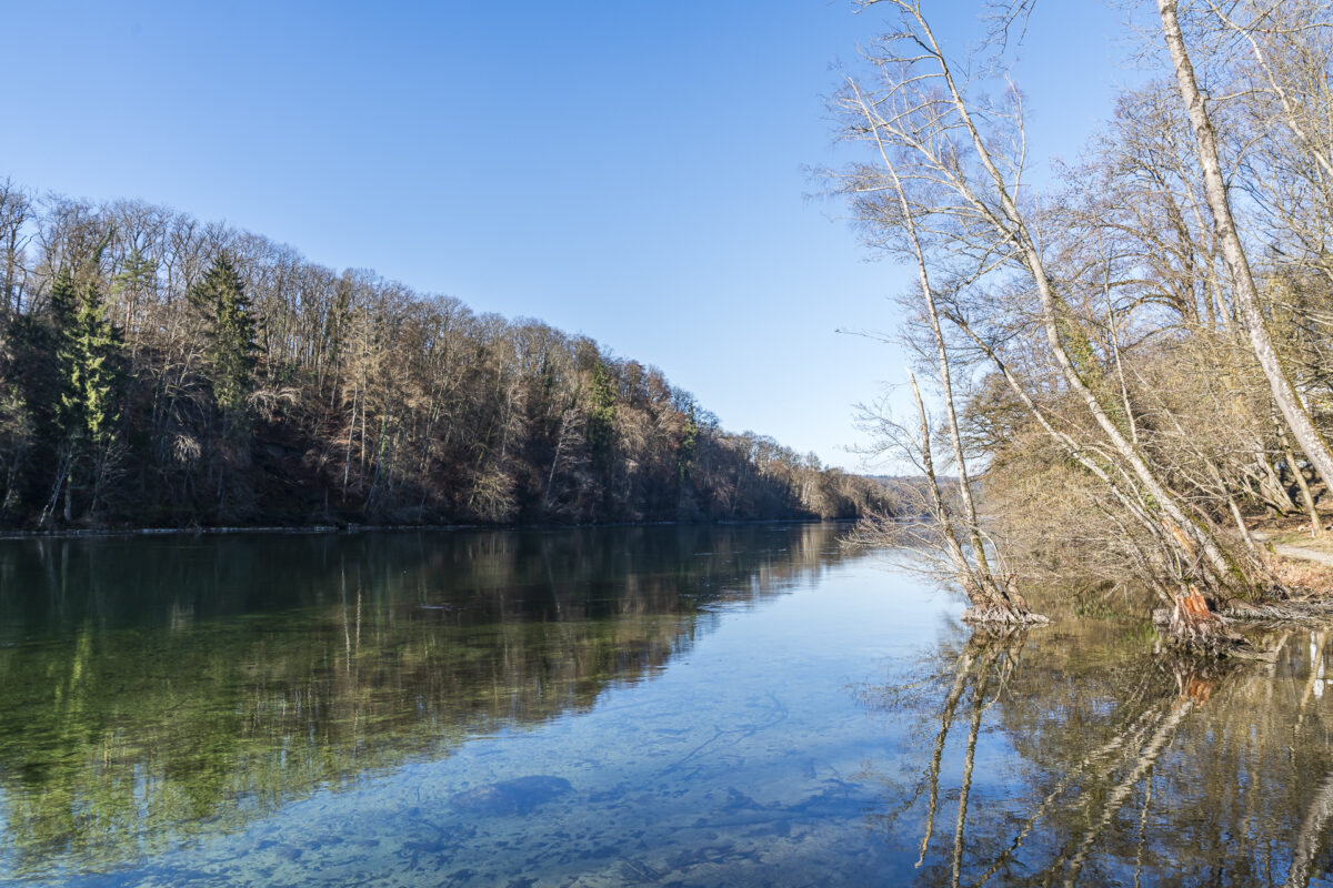 ViaRhenana Rheinweg