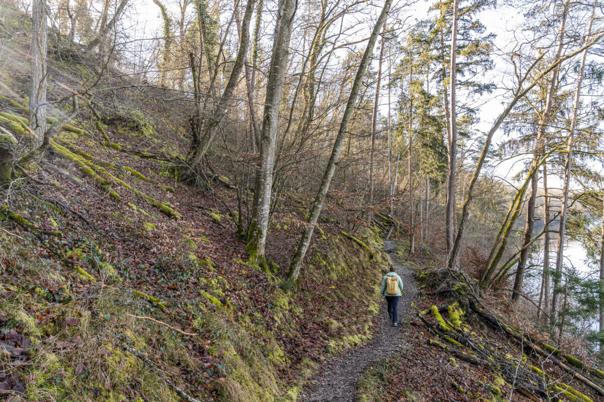 Dem Rhein entlang nach Rheinau wandern