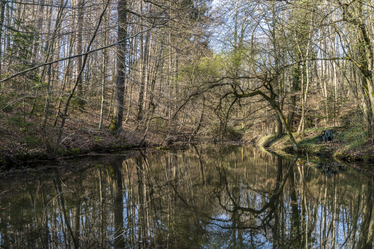 Lucens Weiher