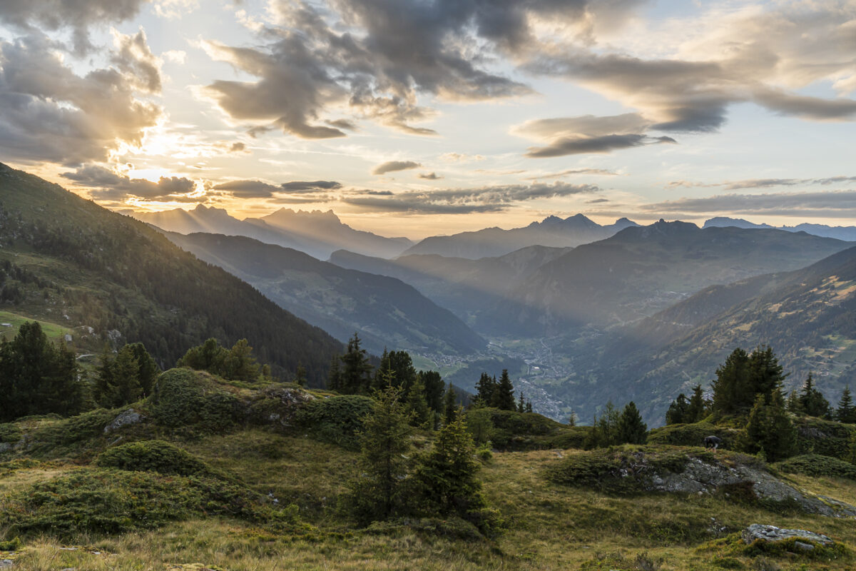 Abendstimmung auf der Cabane Brunet