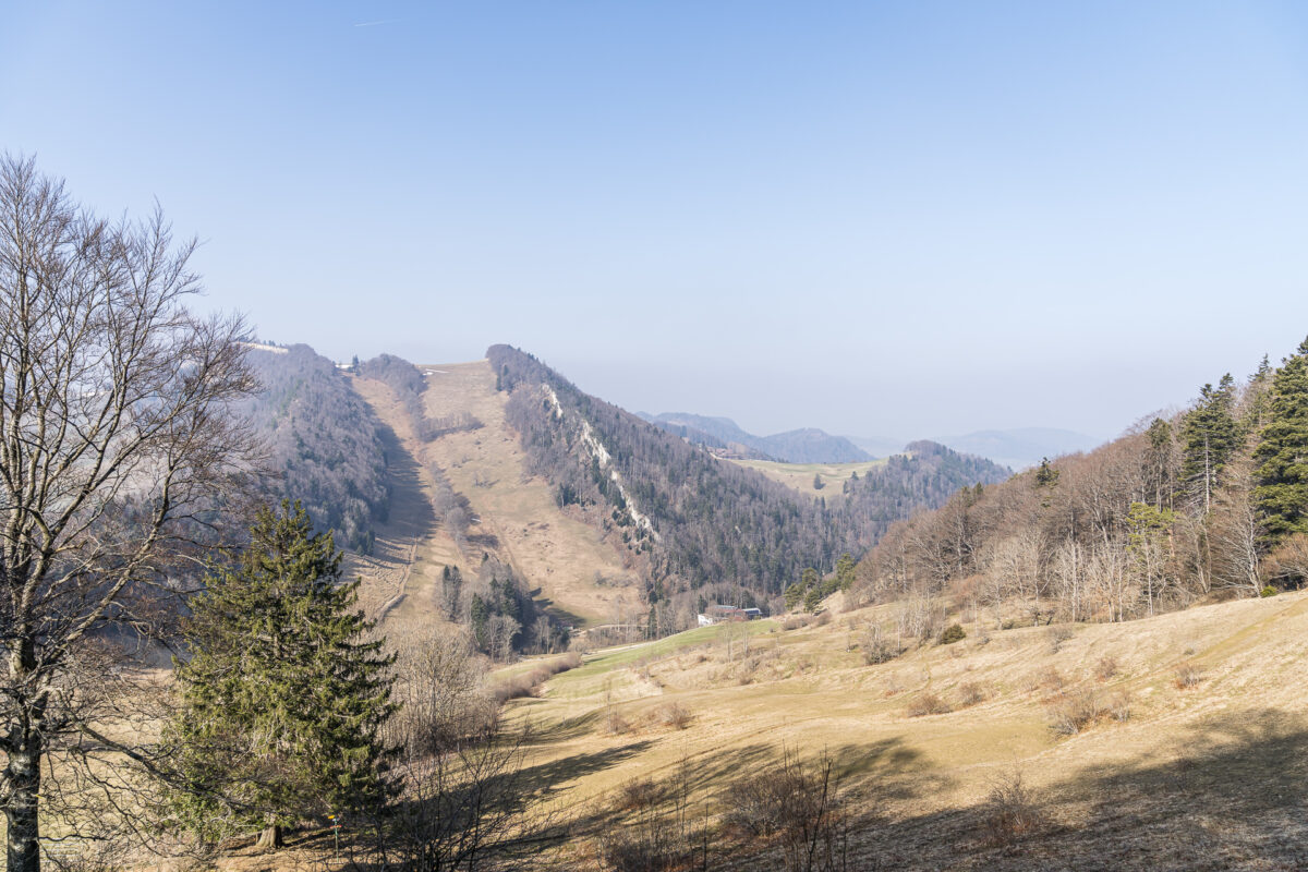 Panorama im Baselland