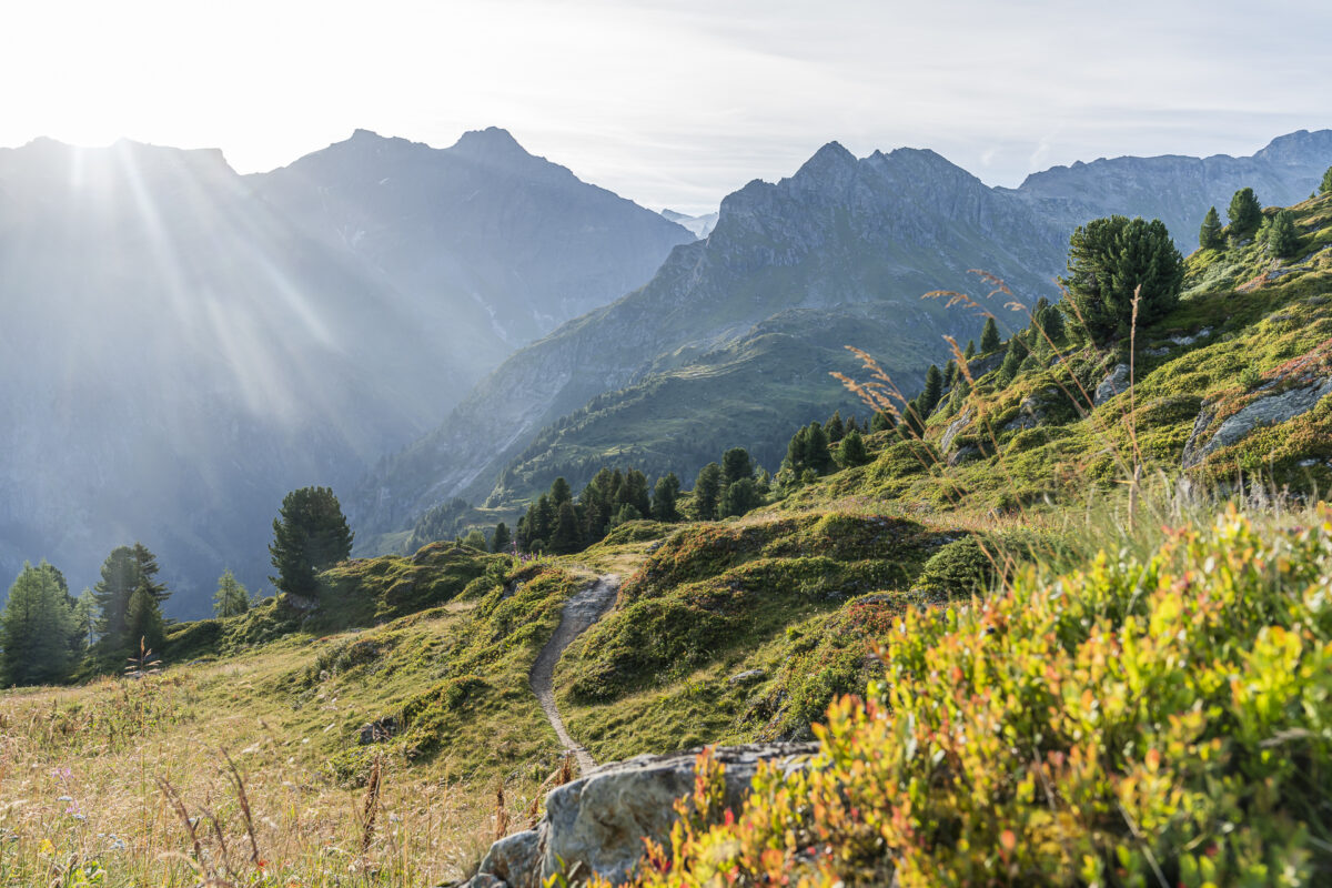 Blick ins Val de Bagnes