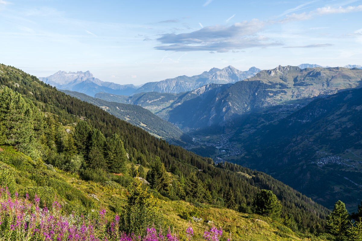 Blick ins Val de Bagnes