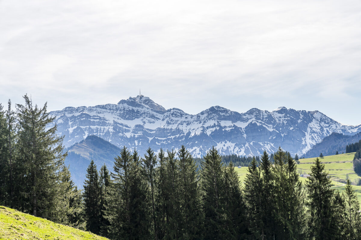 Säntis im Frühling