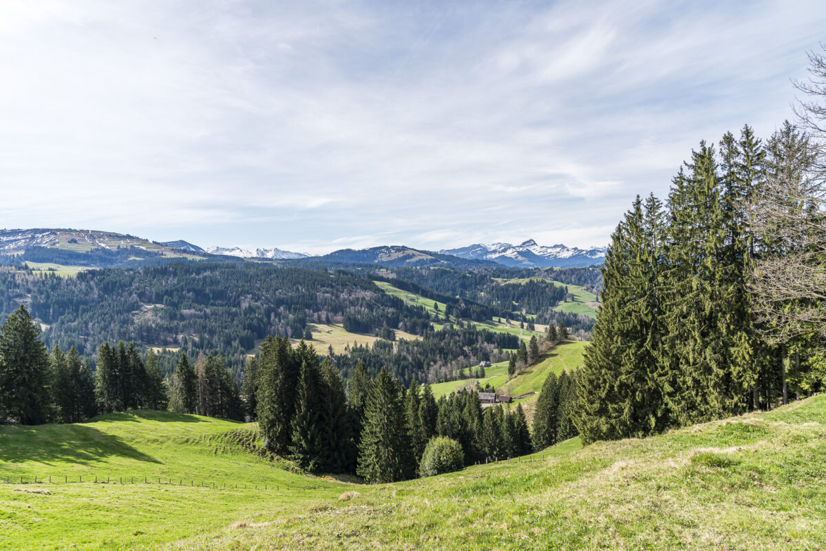 Aussicht beim Aufstieg Hochhamm