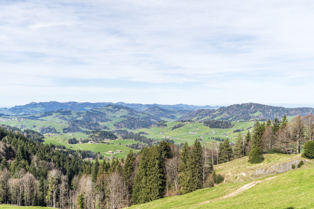 Toggenburg