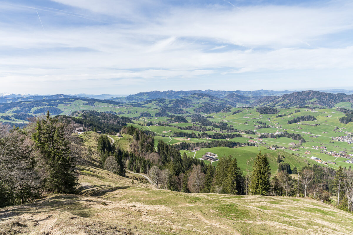 Panorama Hochhamm