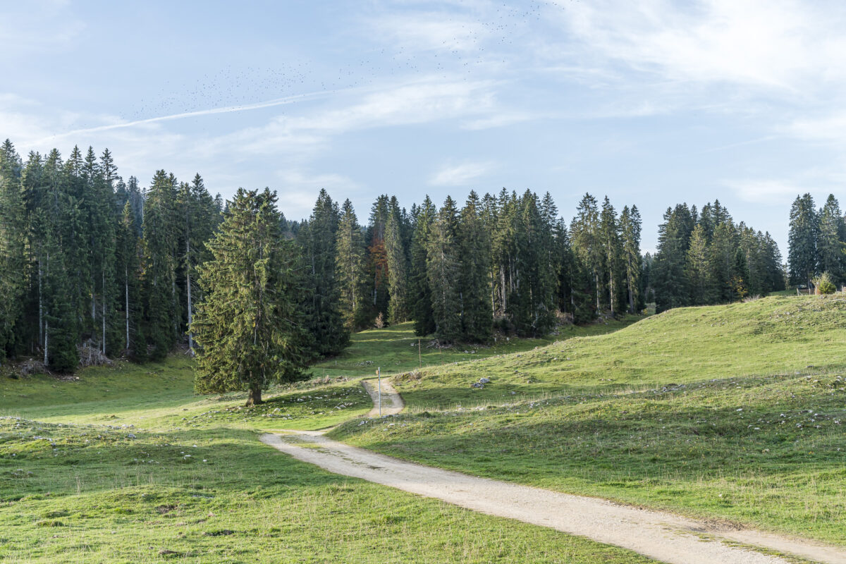 Wandern im Jura