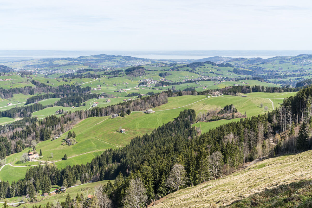 Bodenseeblick vom Hochhamm