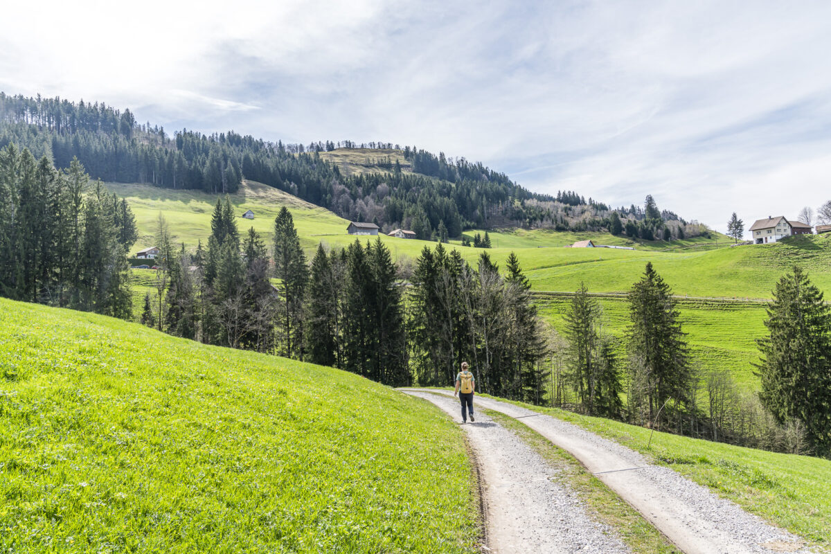 Wanderweg nach Schönengrund