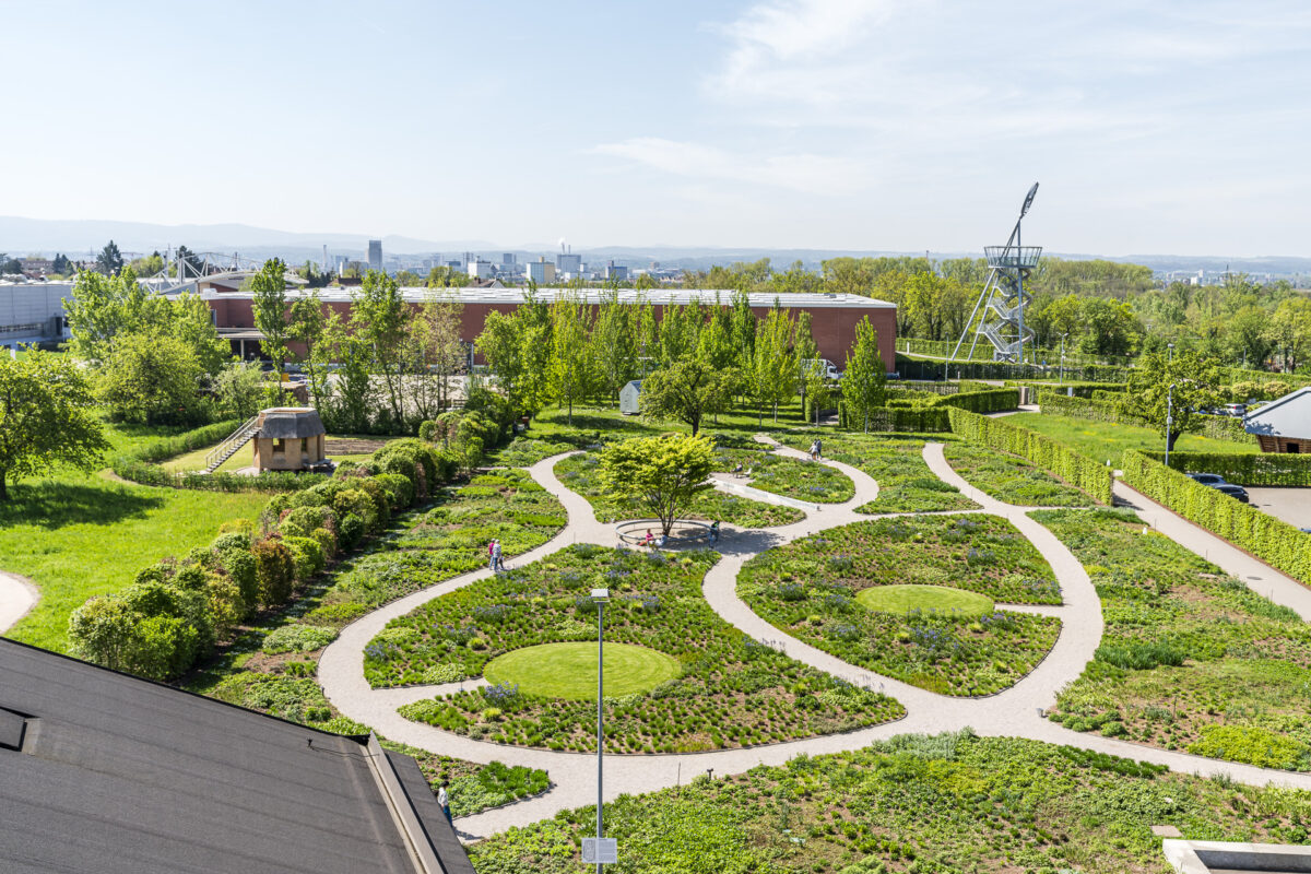 Blick auf Oudolf Garten