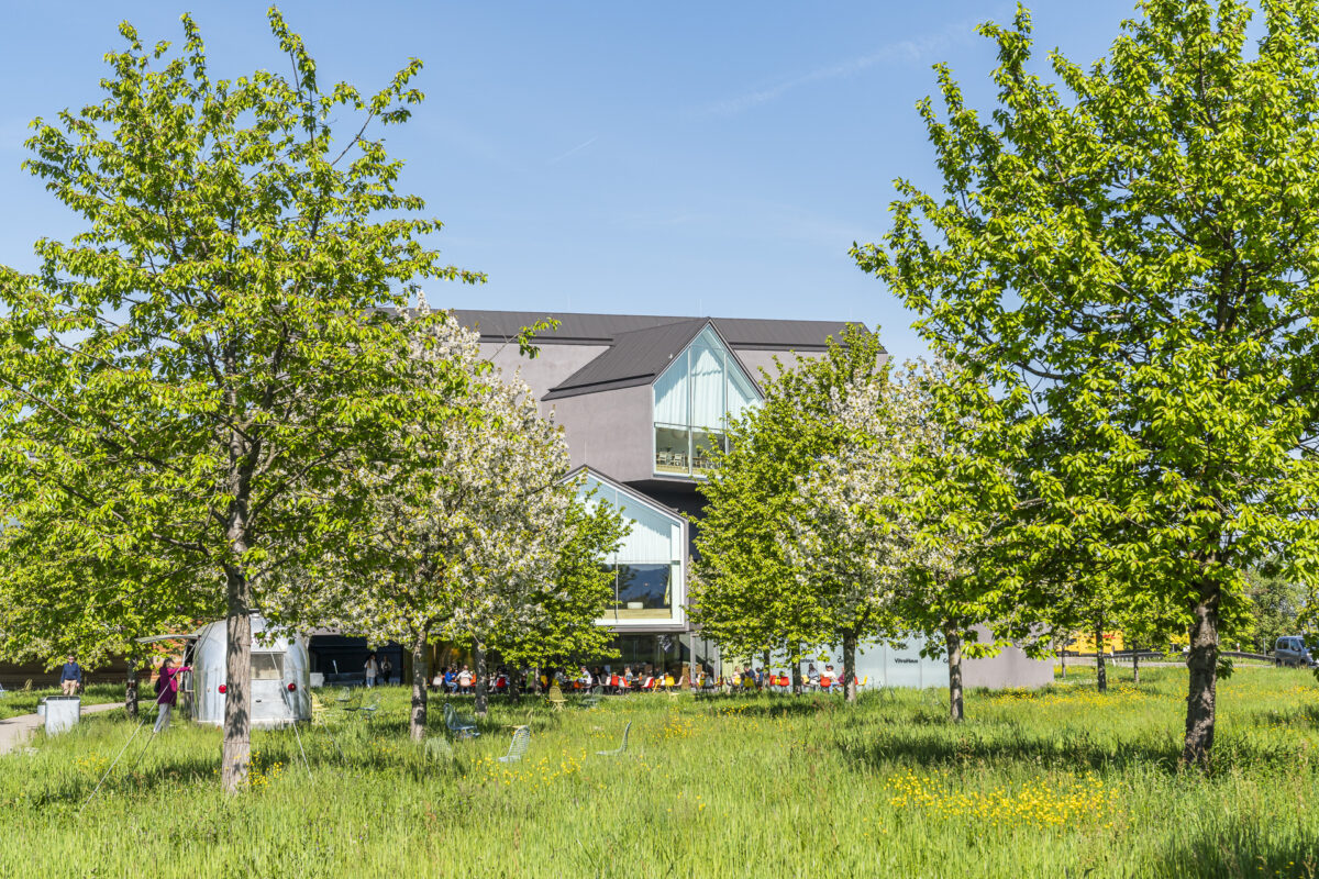 Kirschbäume auf dem Vitra Campus