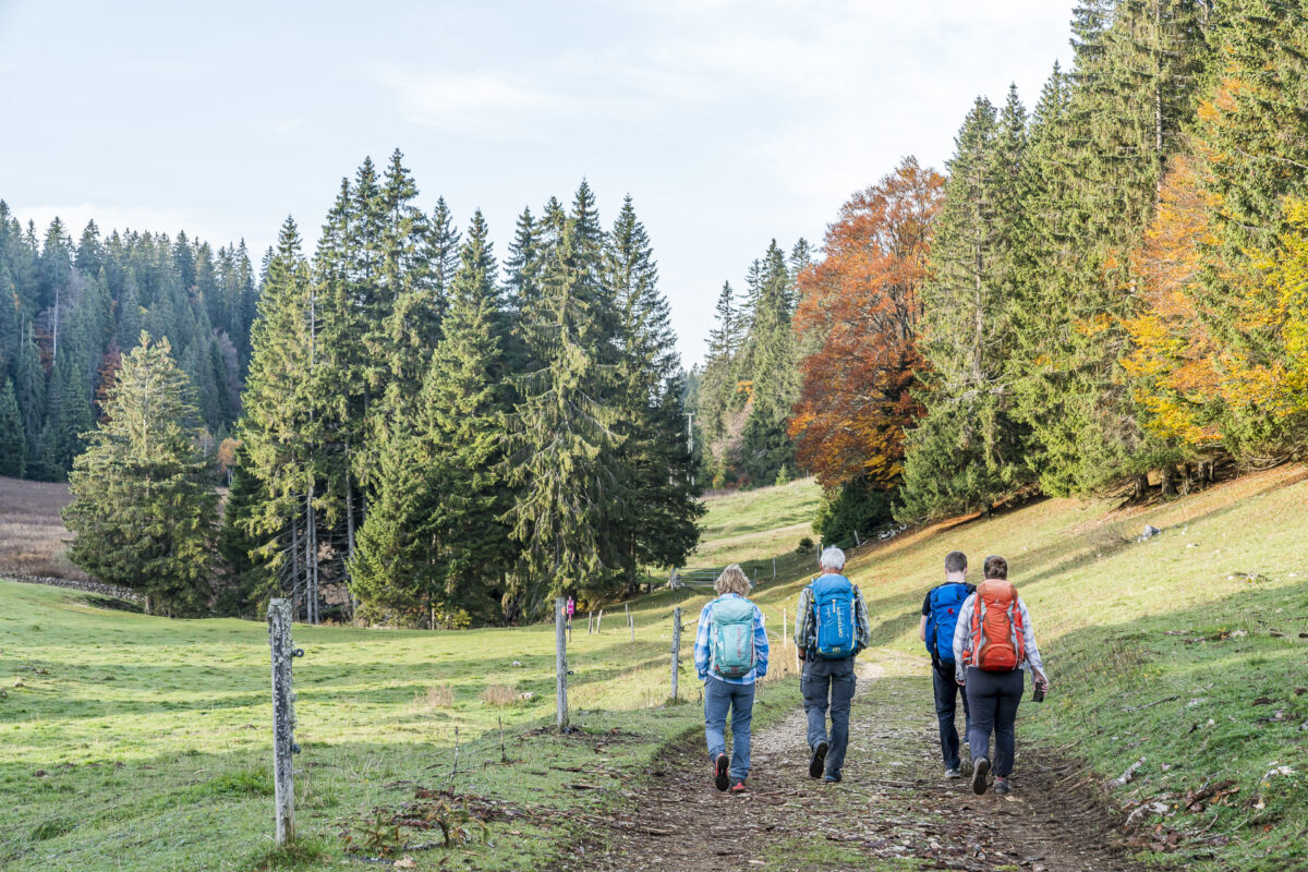 Familienwanderung la Dôle