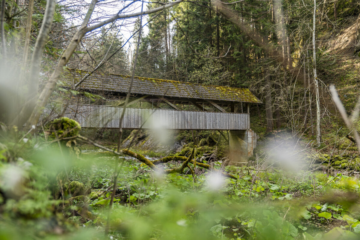 Holzbrücke Necker