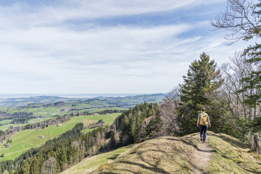 Hochhamm Wanderung