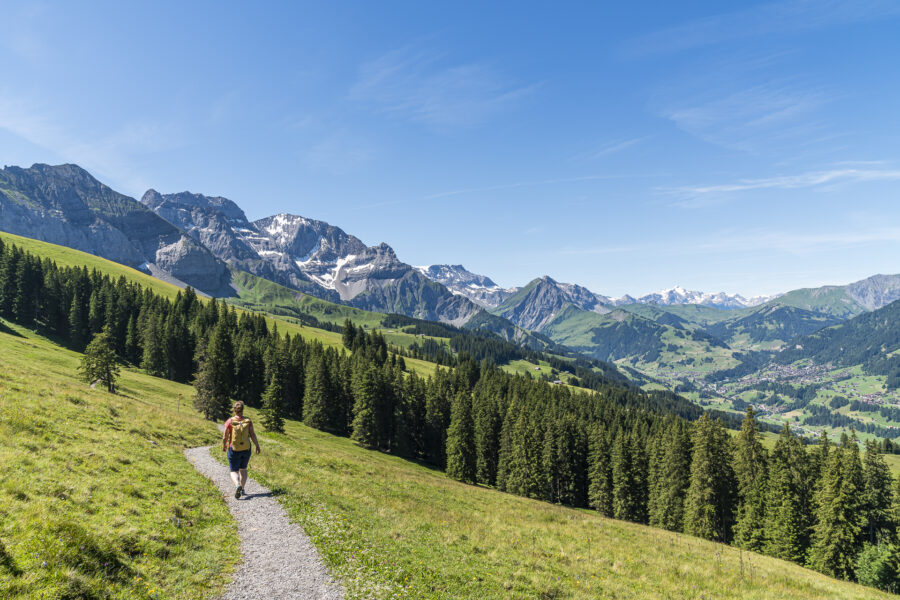 Höhenweg Elsigenalp - Adelboden