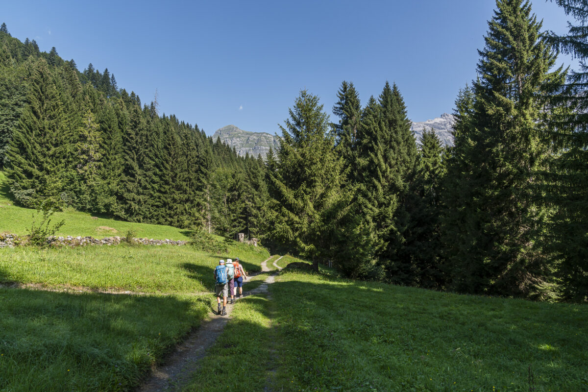 Prättigauer Höhenweg bei Seewis