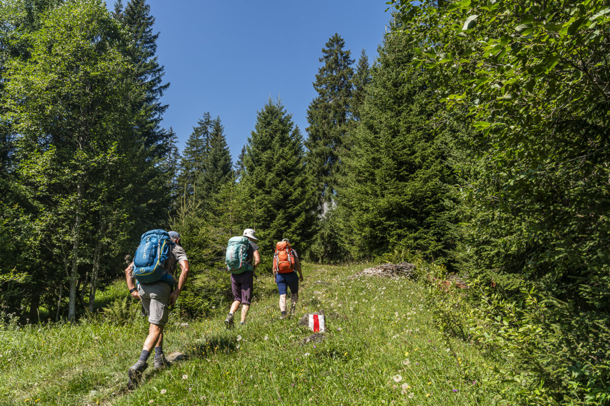 Wanderung Seewis - Schesaplanahütte