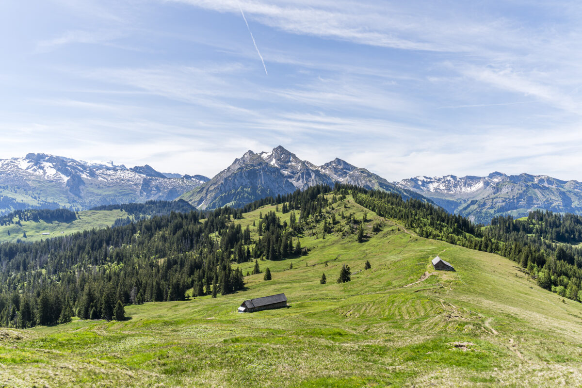 Panorama rund um den Chli Aubrig