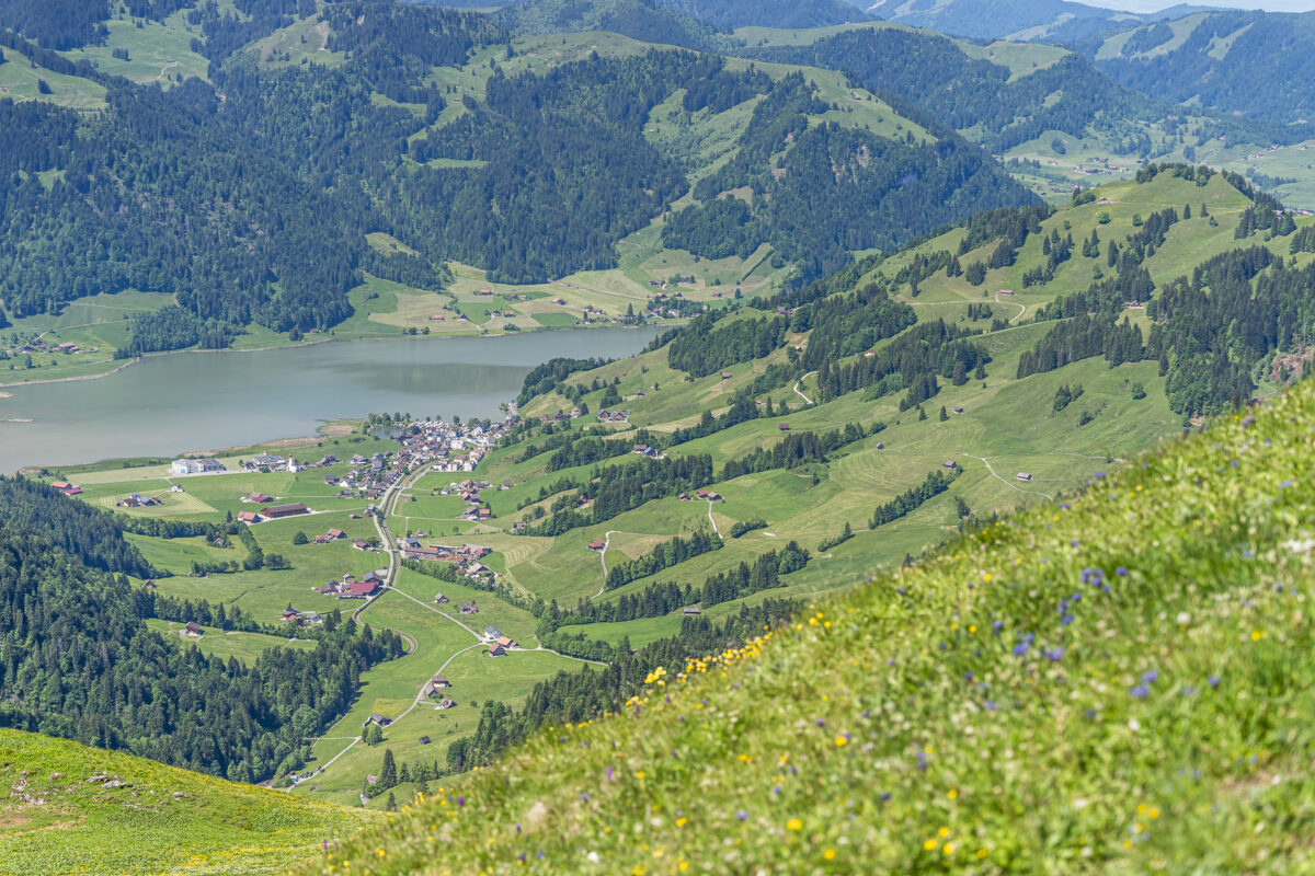 Blick auf Euthal vom Chli Aubrig