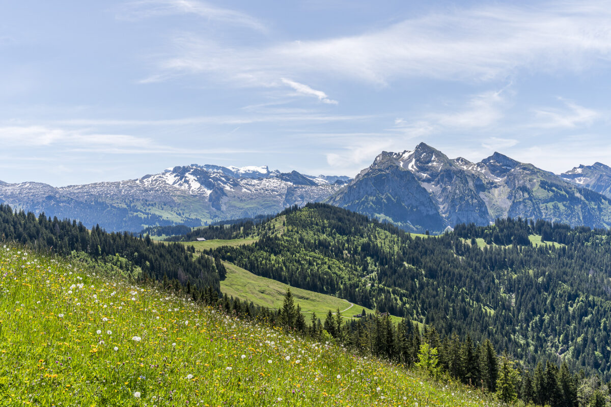 Landschaft im Euthal