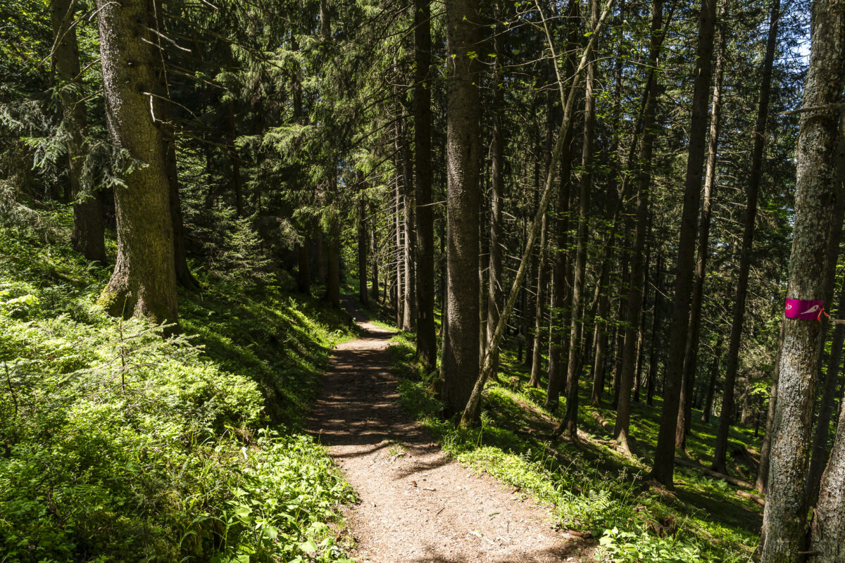 Wanderweg auf den Chli Aubrig