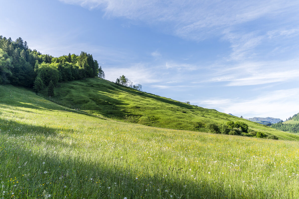 Euthal Landwirtschaft