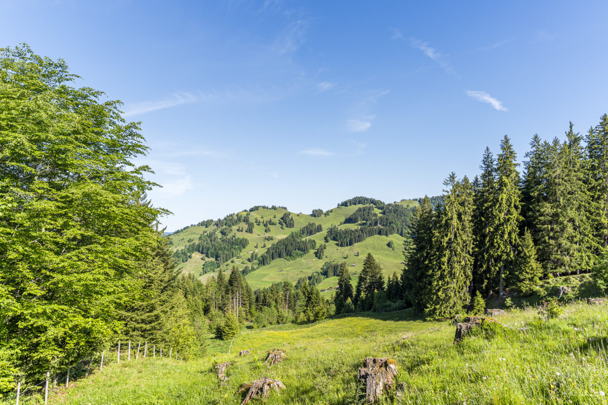 Aussicht Euthal