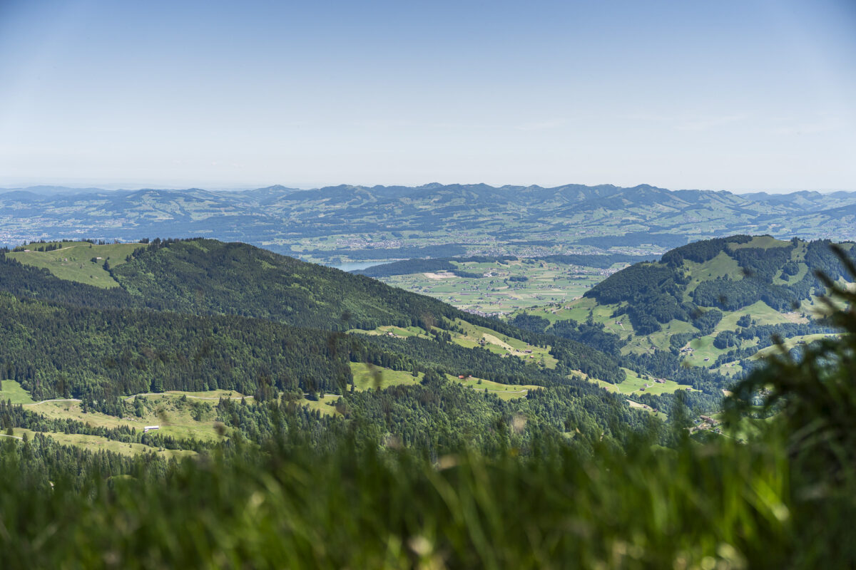 Wanderung auf den Chli Aubrig