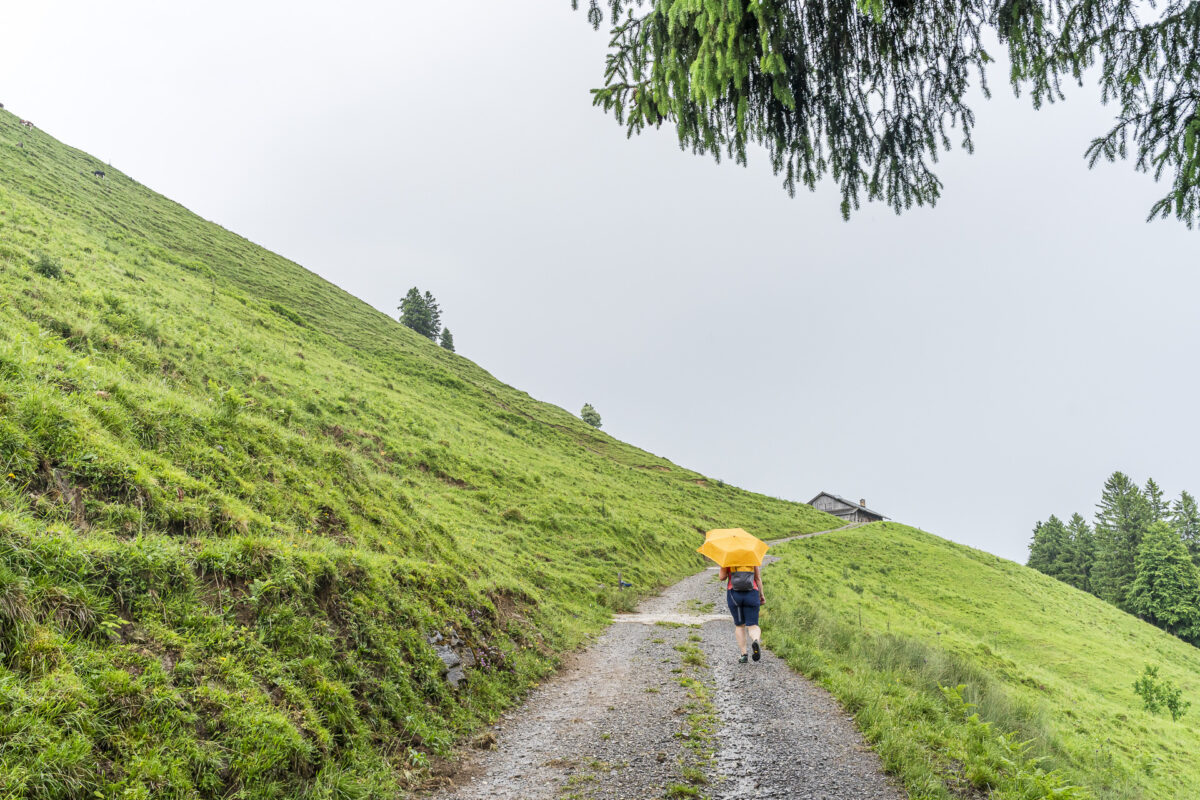Wandern mit Regenschirm